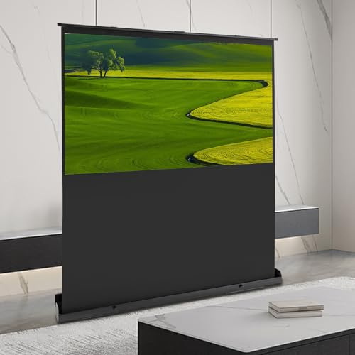 Pull-up Projektionsleinwand Beamer Leinwand 60/80 16:9 Blickwinkel: 160° Tragbar Projektion Leinwand unterstützt 4K, 8K Ultra High Definition und aktive 3D/HDR-Unterhaltung (80)