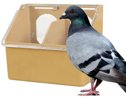 para Jaula | Dispensador de Doble Agujero, dispensador de alimento para Palomas | Codornices Periquitos Loros Pollos Aves Exterior Interior Patio Jardín Granja