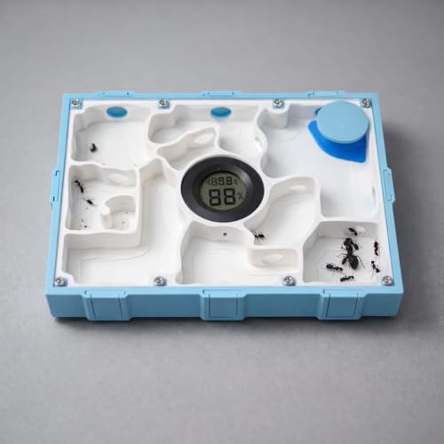 Ameisen Nest Formicarium als Ameisenfarm mit Hygrometer und Zubehör mit Acrylglas Abdeckung (Blau)