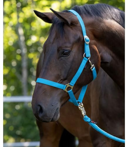 Brama West COVALLIERO Halfterset für Pferde Hyppo | Verstellbares Pferdehalfter | Halfter & Strick 2m mit Panikhaken (Blau, Cob)
