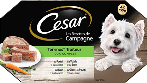 Cesar Repas pour Chien - Lot de 24 barquettes de 150g - Pâtée pour Chien en Terrine du Jardin (4 variétés) - Nourriture Humide pour Chien Elaborée avec des Ingrédients Naturels