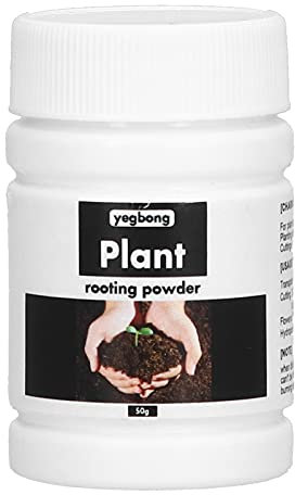 Alvinlite Rooting Powder Hormone Root Fertilizer Seedling Help New Roots on Cuttings and Promotes Strong Healthy Roots for Difficult To Root Plants Toxic Free Supply Promote Growth 1.8 Oz