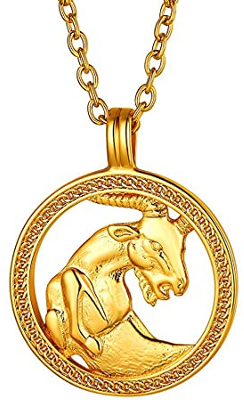 FindChic Sternzeichen Steinbock Anhänger Geprägter Rundeanhänger Geburtstaggeschenke Personalisierbare Halskette