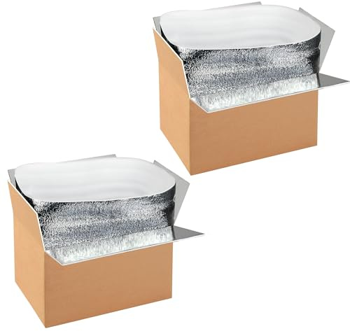 Simple deluxe 2 Pack Insulated Shipping Boxes with Aluminum Foil Liner,Thermal Insulation Cold Pack Shipping Boxes for Frozen, Reusable Styrofoam Cooler Box, Small Mailing Box, 12''x10''x7''