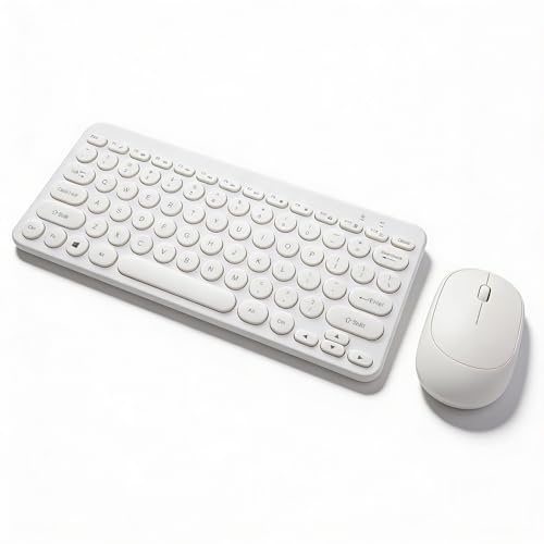 Sxhlseller Tastiera e Mouse Wireless 2,4 G, Combinazione Ergonomica Con Tasti Silenziosi Retrò a 78 Tasti per Ufficio (Bianco)