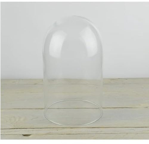 EMH Piccola campana in vetro per esposizione a cupola, altezza 26 cm x 15 cm