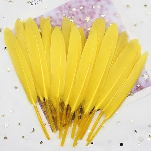 GreatRise 10-15cm Bunte Federn Natürliche Gänsefedern Federn zum Basteln Indianer Federn Dekoration Feder für DIY Handwerk Kostüme Hut Traumfänger Hochzeit Party Dekorationen Gelb 50 Stück