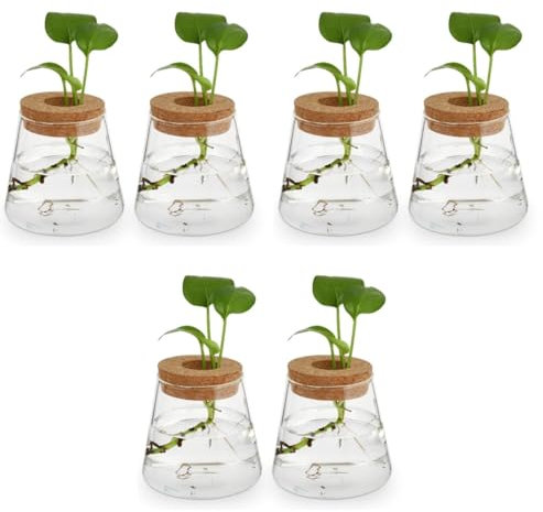 PRETYZOOM 3 Set Bottiglia Ecologica in Pianta Finta Falso Bidone Doppio Uomo Affondare Scaffale Per Piante Vasi Da Farmacia Trofei in Miniatura Transparent Bicchiere 2 Pezzi * 3