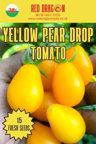 Cherry Tomato Seeds (Yellow Pear Drop)