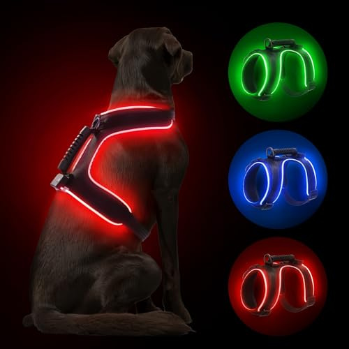 MASBRILL LED Hundegeschirr Leuchtend, Leuchtgeschirr für Hunde Aufladbar Verstellbar LED Leucht Brustgeschirr mit Griff für Klein Mittelgroße Grosse Hund Beleuchtetes Hundegeschirr(Schwarz Rot,S)