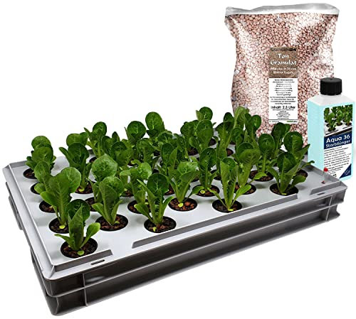 GREEN24 Aqua 36-B Pro Hydroponic Anzucht-System XL 40 x 60 cm Hydroponik Indoor Pflanzen-Aufzucht für Nutzpflanzen, Gemüse, Kräuter, Salate, Zierpflanzen in Tiefwasserkultur (Modell Aqua 36-B)