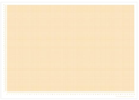 PuK Schreibtischunterlage Millimeterpapier | DIN A2 | seitlich abgedrucktes Lineal | 25 Blatt zum Abreißen | mathematisches Papier | zum Beschreiben und Skizzieren (DIN A2)