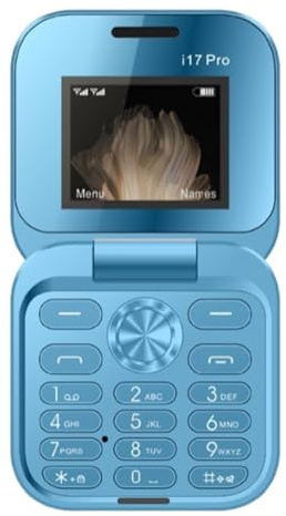Mini Flip Phone for Elderly & Backup - 2G Dual SIM FM Radio, Large Keypad, Non-Smart Simple Mobile with Speed Dial | for Parents (B)