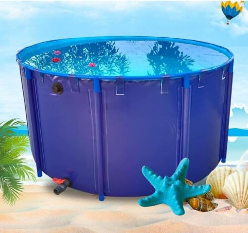 Piscine En Toile Pvc Pour Étangs, Piscine Hors Sol Bassin À Poissons, Réservoir Rétention Temporaire Pour Poissons D'eau Salée, Grande Piscine D'aquaculture Pour L'irrigation Du Jardin,1.2x0.6m