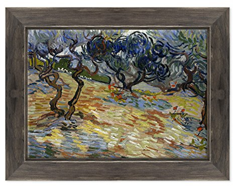 Cadre sur châssis toile canvas – – Prêt à accrocher – Van Gogh – Olive Trees – Arbres oliviers Dimensione: 50x70cm D - Colore Nero Shabby