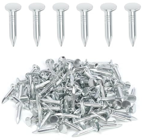 Keadic Set di 300 chiodi in feltro galvanizzato da 2,5 cm, perni a testa larga da 25 mm, chiodo hardware per la casa per coperture in feltro isolante pellicola in schiuma per asfalto singolo fissaggio