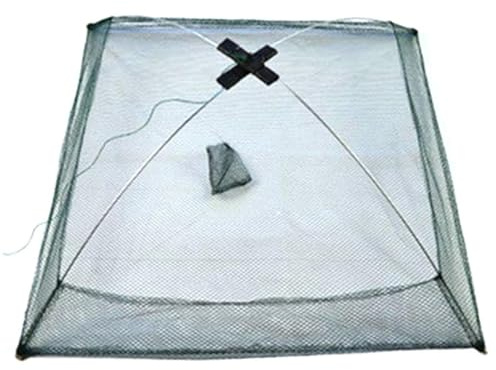 60x60cm Köderfischsenke Mit Anti-Flucht Rand – Klappbarer Fischreuse Mit Schnellspann-System, Ideal Für Karpfen-, Forellenangeln. Faltbarer Fischernetz-Käfig Für Teich, Garnelenfang, Angelzubehör.