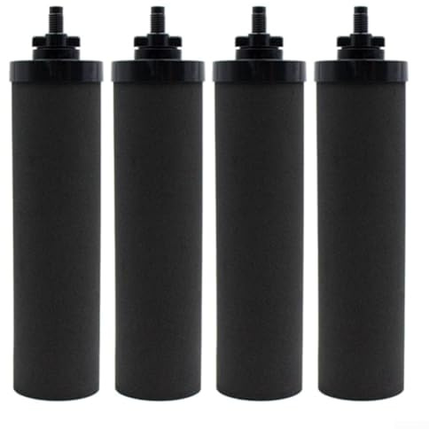 Larayci Lot de 4 filtres à eau de rechange à charbon actif en coquille de noix de coco pour voyage Grande couronne royale