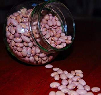 100 Pink Beans Seeds, Habichuelas Rosadas,Popular in Caribbean Countries