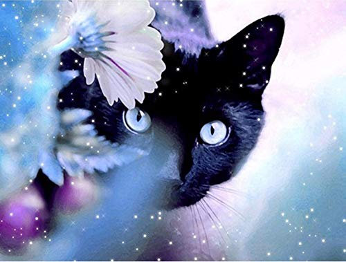 YEESAM ART Neuheiten Malen nach Zahlen Erwachsene Kinder, Schwarz Katze in den Blumen 40x50 cm Leinen Segeltuch, DIY ölgemälde Weihnachten Geschenke
