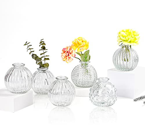 Vasen Klein Glas EylKoi - Vasen Klein Tischdeko 6 Teile/Satz Klar Verschiedene Formen Hochzeit, Tischdeko Mini Kleine Für Kleine Für Zuhause, Veranstaltungen Tisch, 5#