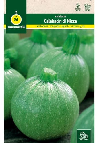 Mascarell Semillas, CALABACÍN, Semillas Huerto, CALABACÍN DI NIZA, Crea tu Propio Huerto Urbano y Cultivo en Casa, Plantas Hortícolas, 8 Gramos