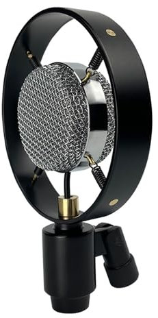 Microfono da studio professionale a condensatore vintage registratore per trasmissione in diretta microfono a condensatore da tavolo Mircofono