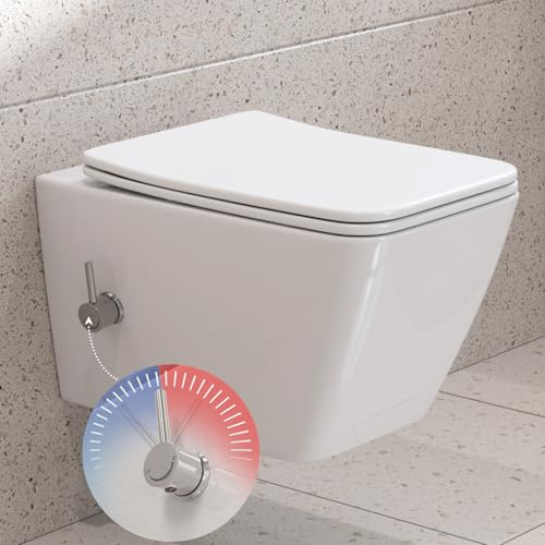 HOROW WC doccia con ugello integrato, WC sospeso senza bordo, toilette con funzione bidet, WC Taharet con nano, WC doccia con rubinetto, coperchio WC con abbassamento automatico, acqua fredda/calda
