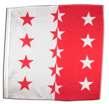 Flaggenfritze Flagge/Fahne Schweizer Kanton Wallis - 30 x 30 cm