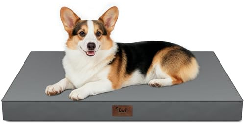 Tail Stories Outdoor Orthopedic Dog Bed, Waterproof Dog Bed for Large Dogs 36x27 Inch, Egg Crate Foam Pet Mat with Washable Removable Oxford Cooling Cover, Grey