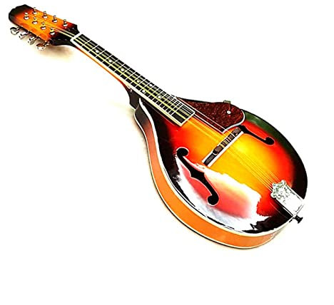 Mandolin Eight Strings Mandolin Stringed Instrument Mandolin Instrument