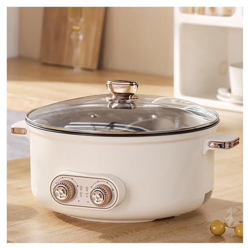 HJXBD888 Fondue Chinoise, Double Interrupteur de Commande Coupure Automatique De L'Alimentation 1600 Watts Hot Pot, Convient Aux FêTes d'anniversaire (avec 2 Filets Non éTanches),5.5L