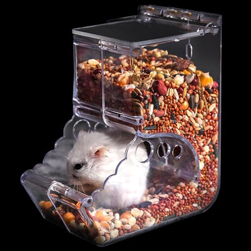 Distributeur Automatique de Nourriture pour Hamster et Autres Petits Animaux
