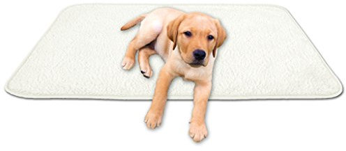 Bestgoodies Tierdecke Haustierdecke Kuscheldecke Hundebett Katzendecke (Lammflor - Design / 90x140 cm/Creme - beige