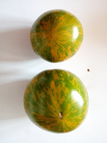 SEMI POMODORO GREEN ZEBRA