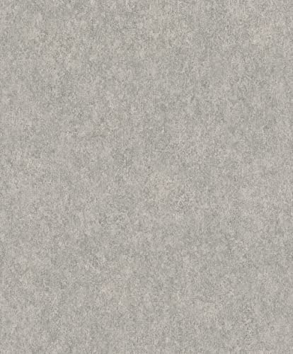Rasch Tapeten Vliestapete (universell) Grau 10,05 m x 0,53 m Linares 617191