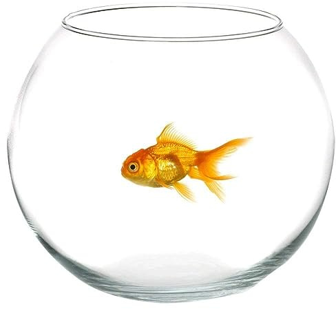 Ampolla Boccia In Vetro Trasparente 25 Cm Acquario Per Pesci Centrotavola