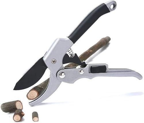 Ciseaux de Taille, cisailles à Haies, Ciseaux de Jardin, Garniture de Plantes Horticulture 20 cm Ciseaux de Jardin à cliquet Enclume à Main Cisaillement de Branche sécateur de Coupe Outil de verger d