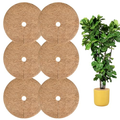 Trendecor 6 Stück Kokosmatte Winterschutz, 40cm Winterschutz Kokosmatte Pflanzenschutz Kokosscheibe für Innen und Außen Pflanzenschutz Kälteschutz Frost Schutz vor Nässe