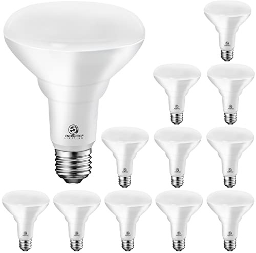 Energetic 12 Pack LED Recessed Light Bulbs BR30, 1100Lumens, 85W Equivalent, Dimmable, Daylight 5000K, Indoor Flood Lights for Recessed Cans, UL Listed