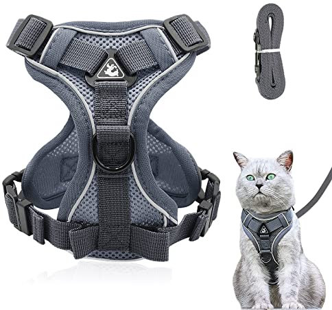 Verstellbares Katzengeschirr Ausbruchsicher, Katzengeschirr mit Leine Set, Softgeschirr für Katze Brustgeschirr für Katzen Kitten Hunde Welpen (Grau -M)