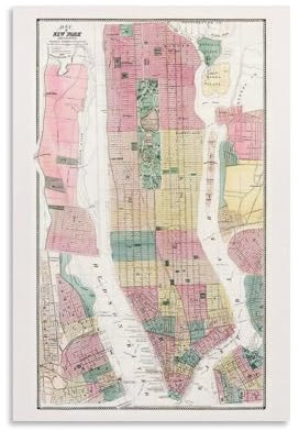 Póster de mapa vintage de 1869 de la ciudad de Nueva York y las zonas circundantes, lienzo para pared, arte decorativo para pared, decoración moderna, 30 x 45 cm