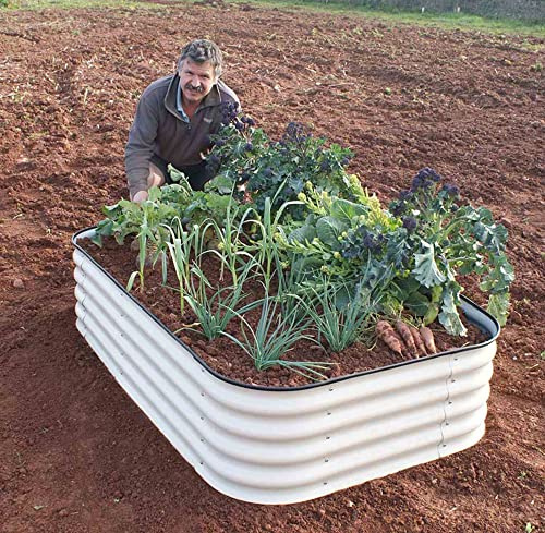 Original Veggie Bed Paperbark Garden Planting Merino White Vegetable Planter Easy to Grow our Own 2x Veg Bed by Thompson and Morgan. (Merino White)