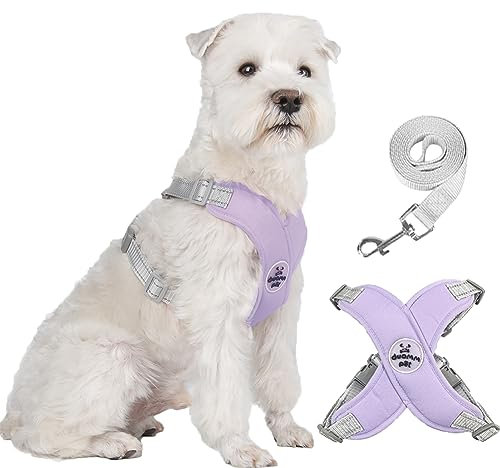 FEimaX Hundegeschirr für Kleine Mittlere Hunde Anti Zug Reflektierend Weich Brustgeschirr mit Hundeleine No Pull Hunde Geschirr Verstellbare Atmungsaktiv Welpen Hundegeschirr