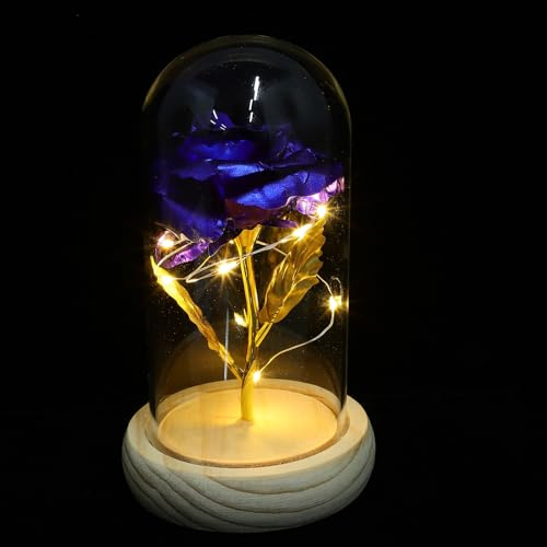 DIYEAH Lampe LED Rose Stabilisée sous Cloche en Verre Bleu Décoration Intérieure Romantique sans Piles Ornement de Fleurs Stabilisées pour Bureau et Maison
