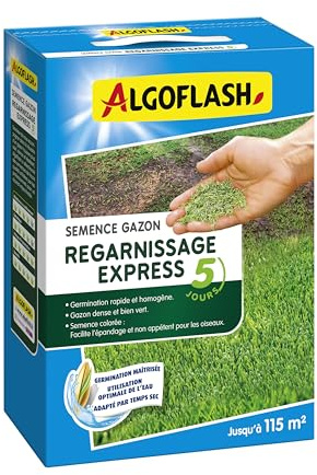 ALGOFLASH Semences Gazon Regarnissage Express 5 jours, 2,5 kg | Semences gazon enrobées pour une germination rapide dès 5 jours et un gazon dense et vert.
