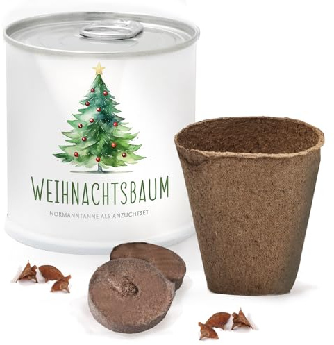 Deine MacFlowers Nordmanntanne, Weihnachtsbaum Anzuchtset, Alles enthalten, Nachhaltig Schenken, Geschenk für Frauen und Männer als Adventskalender Füllung Wichteln