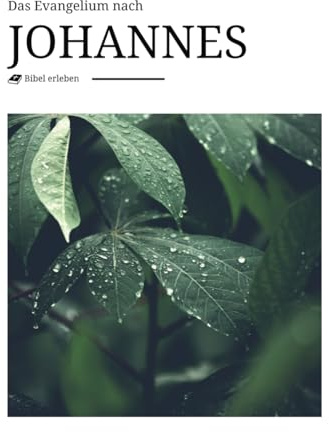 Das Evangelium nach Johannes - inhaltlich treues Buch der Bibel mit modernem und beeindruckendem Design und Bildern