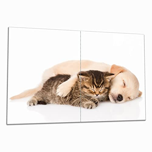Wallario Herdabdeckplatte/Spritzschutz aus Glas, 2-teilig, 80x52cm, für Ceran- und Induktionsherde, Katze und Hund in Harmonie - Kuschelnde Tiere