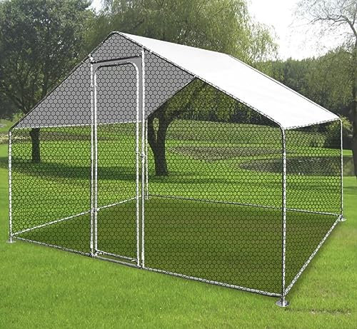 InTheMarket Geflügelgehege mit Abdeckung, stabile 2-Panel-Tür (2x3M, 4x3M, 6x3M) (2m x 3m))